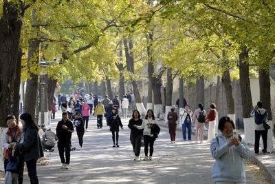 秋分养生正当时，专家支招防病保健康