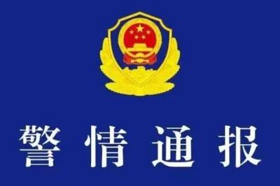 辽宁警方通报“女子遭前夫殴打后死亡”：检察机关已对嫌疑人批准逮捕