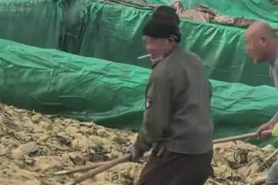 “男子在酸菜池中抽烟并吐痰”，辽宁兴城官方通报