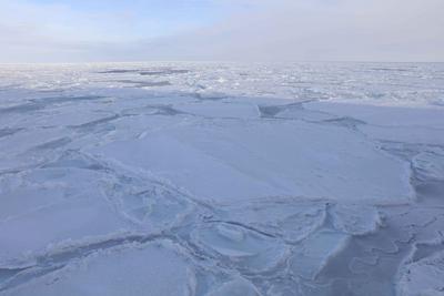 研究：南极地区海底甲烷渗出速度惊人