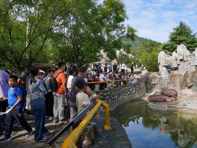 山海徒步“走热”秋季文旅，2025青岛西海岸山野生活节解锁沉浸新玩法