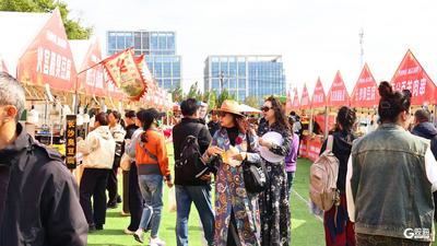 “张小枫”IP发布、多条文旅线路亮相！青岛西海岸新区第三届红枫文化节启幕，相约万株红枫下