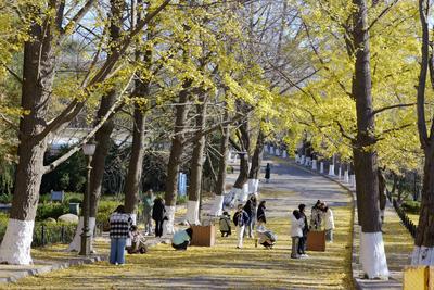 国庆中秋假期国内出游8.88亿人次，总花费超8090亿元