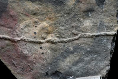 科学家发现迄今最古老的复杂三维潜穴系统