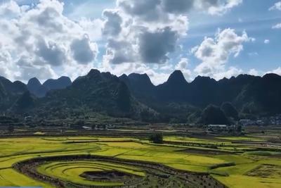 多地秋天“迟到早退”，秋季为何越来越短了？