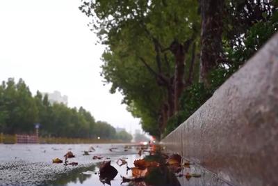 北方降雨频繁，我国降雨带是否发生北移？专家解读
