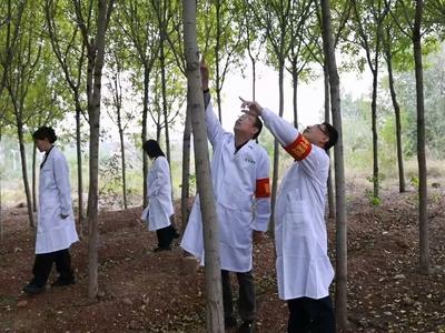 以练促防！科技赋能+协同作战，提升青岛生态安全防控“守护力”