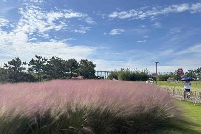 漫步海之恋公园，感受“有一座城市叫青岛”