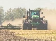 今年山东小麦怎么种？八方面问题要掌握