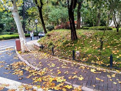 冷空气来袭！山东迎雷阵雨天气，部分地区最低气温降至8℃