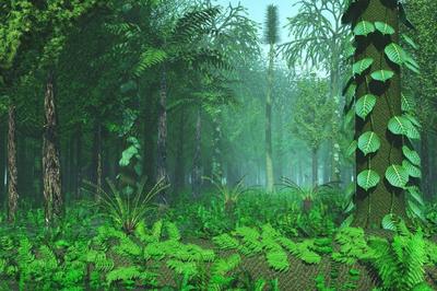 2.5亿年前一场“森林倒塌”，如何演变成全球性灾难