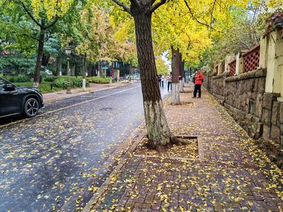 “智慧监管+全域清洗”守护蓝天，青岛为道路扬尘防治出新招