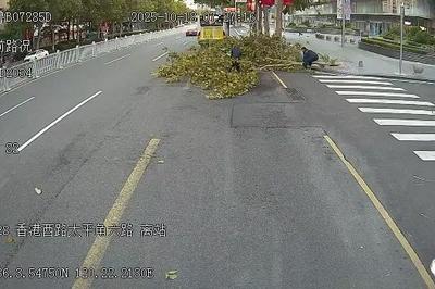 断枝拦路带来安全隐患，青岛巴士两名驾驶员果断处置保畅通