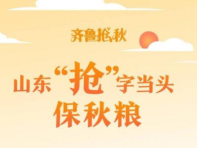 齐鲁“抢秋”｜山东“抢”字当头保秋粮
