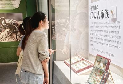 国家文物局：优化博物馆和社会文物管理服务