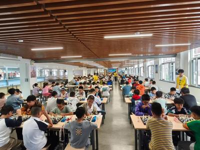 城陽區首屆科技智力運動會國際象棋（小學組）比賽落幕
