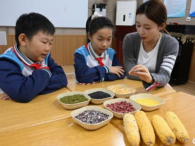 課堂學“糧”，讓小學生真正了解“粒粒皆辛苦”