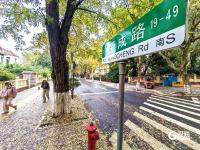 醉美金秋來了！雨后八大關落葉鋪滿地