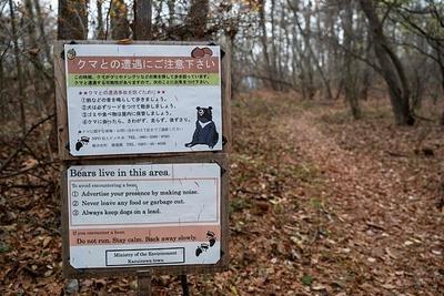 本年度日本野熊袭击致死人数达10人，为历史新高