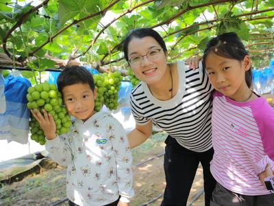 古树下唱响田园牧歌，​大场镇田园音乐节奏响乡村振兴“共富新篇”