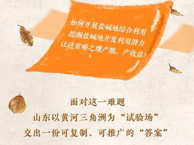 黄三角的“碱”法