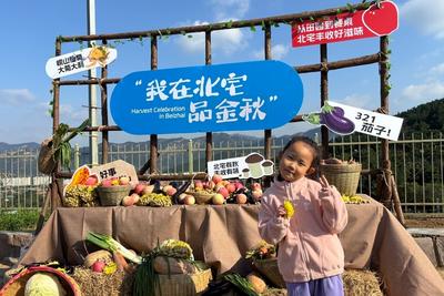 市民游客共游秋日田園！第三屆北宅金秋休閑體驗季暨特色農產品展銷活動舉辦