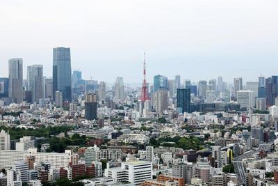 日本鸡蛋价格逼近历史最高值，变身“高级食材”