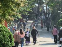 明媚秋日，一起出游吧！