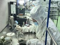 平度“财富花”迎来销售高峰期