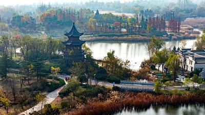 初冬自然调色板！唐岛湾湿地尽显生态之美