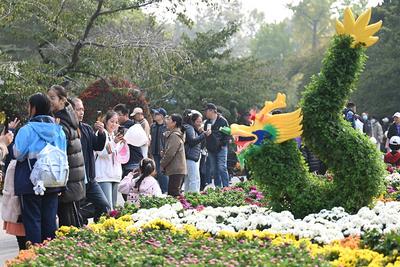 让淡季旅游“热”起来，青岛奉上丰富多彩的文旅主题“大餐”