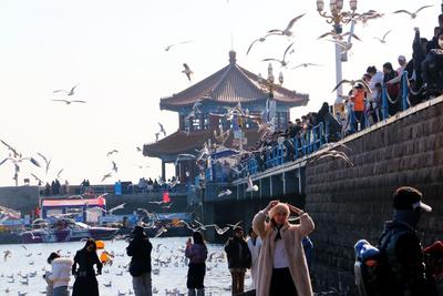 低温伴大风！青岛明天全天气温都持续个位数，外出注意防风保暖