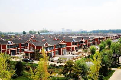 片区化推进乡村振兴的山东实践 | “蒜瓣”抱团发展，成就 “中国大蒜之乡”