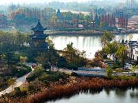 初冬自然调色板！唐岛湾湿地尽显生态之美