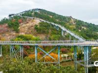 打翻调色盘！青岛这座公园初冬如画