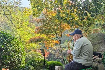 明媚秋日，一起出游吧！