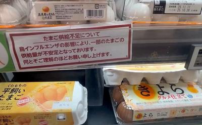 经济民生双承压下，日本再遭高市妄为之“祸”