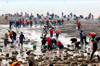 较强冷空气再来！明天下午起，青岛将迎大风降温