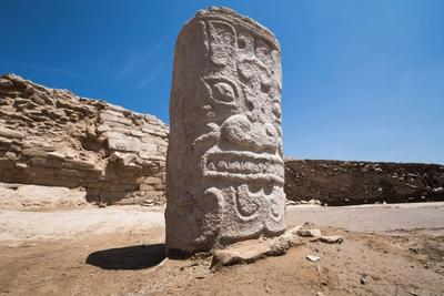 南北文明在此交汇！基因揭秘千年“巨石之城”的身世与秩序