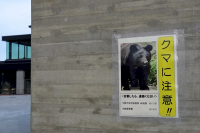 一天五人遭熊袭，日本红叶季旅游业受创