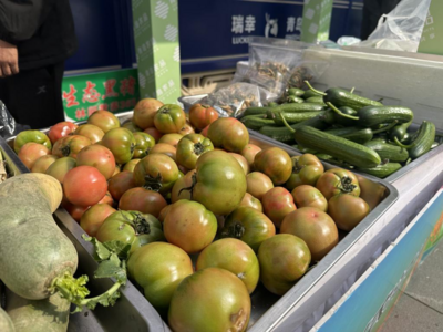 龙头带动，全链发力，莱西农产品首季出口同比增11.5%