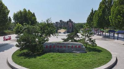 沿着黄河遇见海｜采访团走进夏津黄河故道国家森林公园：科技赋能让千年古桑资源“活”起来