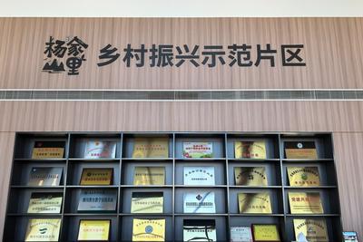 片区化推进乡村振兴的山东实践 | 土路变“富路”，杨家山里让乡村既有 “看头” 又有 “赚头”