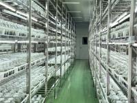 平度“财富花”迎来销售高峰期