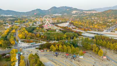 “秋日限定”上线！世博园赏秋正当时