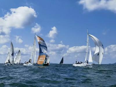 26金14银19铜！撑起全运会“史上最佳”的青岛支点