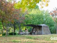 “秋日限定”上线！世博园赏秋正当时