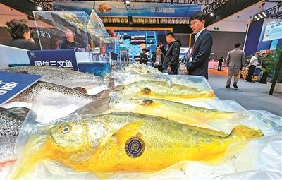 相聚青岛，全球水产商“竞逐”中国市场