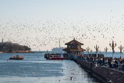 承接“赛后经济”，转化“情绪流量”！全运会后，游客抵青感受“好客山东”