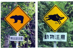 日本多地发生熊袭击致人死伤事件，我使馆紧急提醒